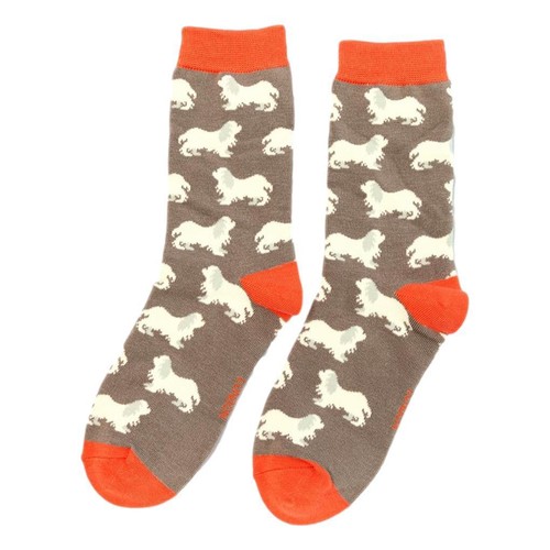 Spaniels grey ladies - on,