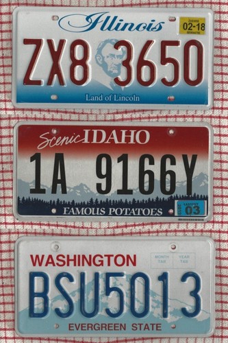 Set american licence - of,