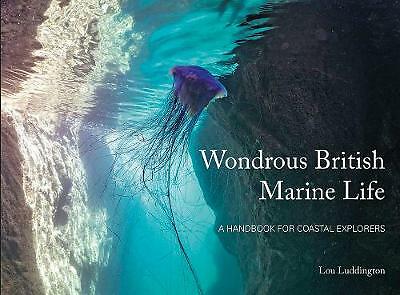 Wondrous british marine - wondrous, life