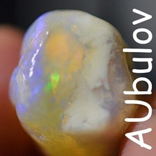 61.20 Carats CP Opal Belemnite Pieces + Beautiful Colour