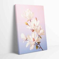 Stunning Magnolia Flowers