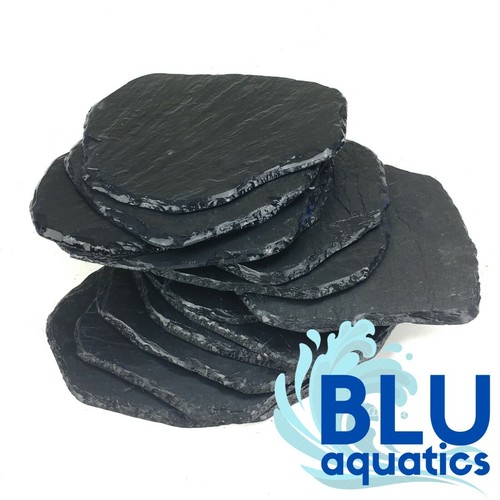 Flat slate rock - flat, pieces