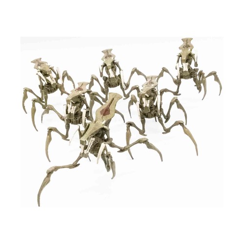 Mongoose starship troopers - mongoose,