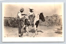 Animals: Boy On Piebald Horse