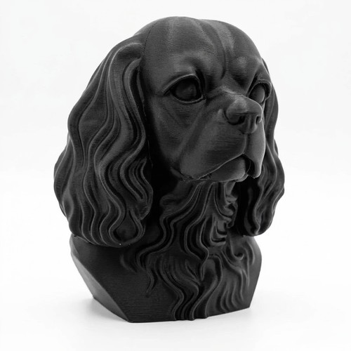 Cavalier king charles spaniel - cavalier,