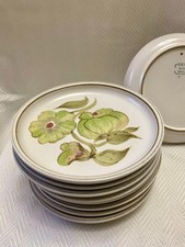 8 x Vintage Denby Troubadour