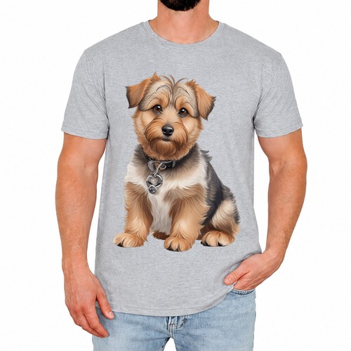 Cute norfolk terrier - norfolk, mens