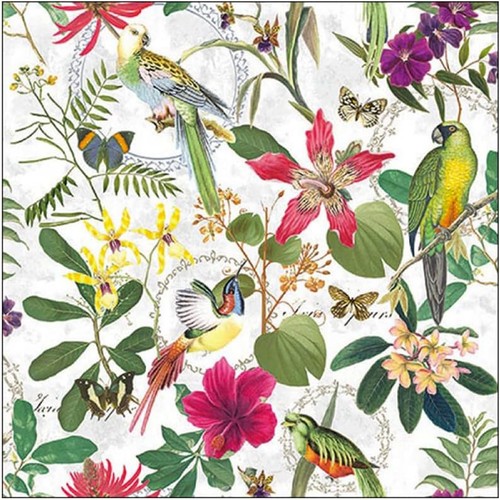 Tropical birds paper napkins - birds,