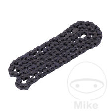 BorgWarner Endless Cam Chain