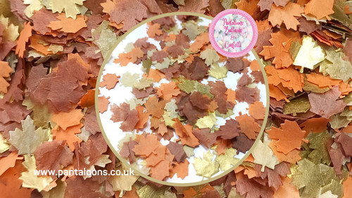 Biodegradable wedding confetti - wedding,