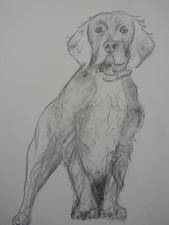 Original hand drawn drawing