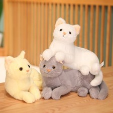 Kawaii Cat Plush Toy Soft
