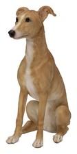 Vivid Arts Whippet Fawn &