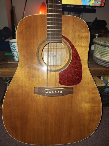 Norman b20 string - norman, 6