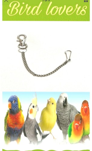 Birdlovers snap locks for bird - snap,