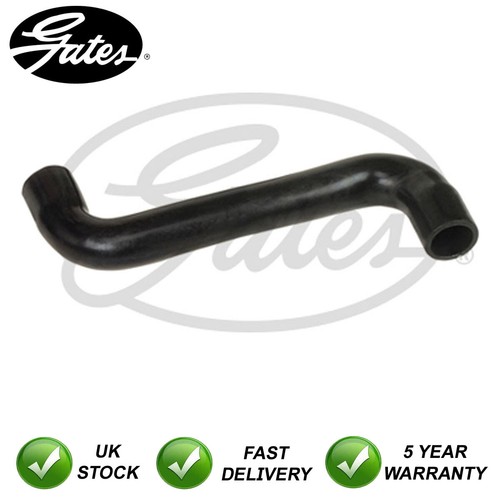 Radiator coolant hose upper - coolant,