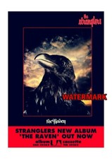 The Stranglers Poster Print -