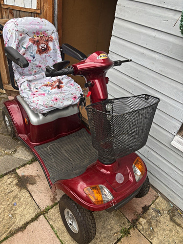 Strider wheel mobility - strider, 4-wheel