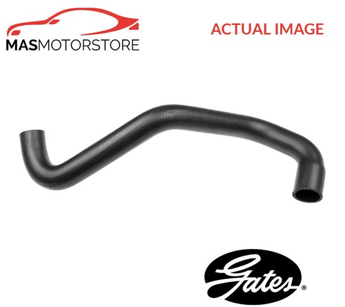 Radiator hose lower - radiator,