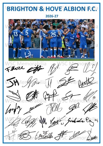 13189 brighton hove albion - hove,