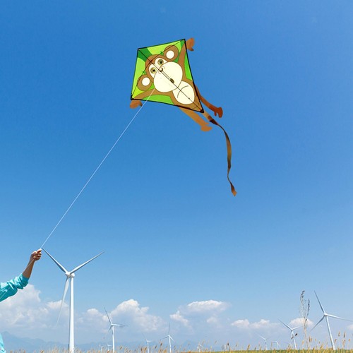 Rainbow phoenix kite huge - kite,