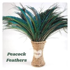 10pcs Natural Peacock Feathers