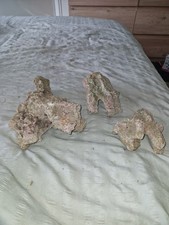 over 1 kg Marine Aquarium Live