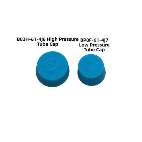 Valve core dust cap set - ac,