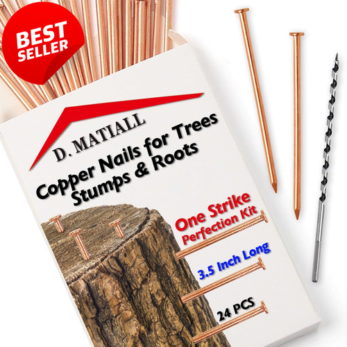 Copper nails 24 pack - 3.5",