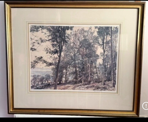 Beautiful mcintosh patrick - beautiful,