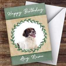 French Spaniel Dog Green