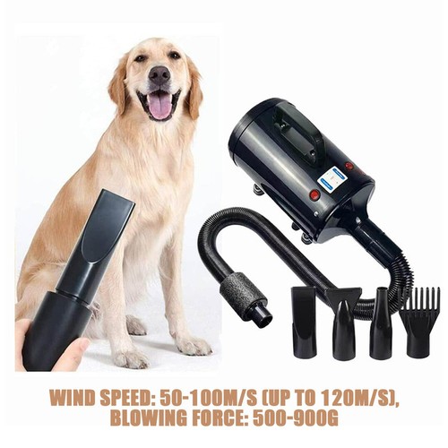 Pet dog cat - dog, hair
