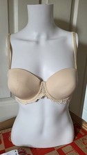 Debenhams Women's Bra Padded