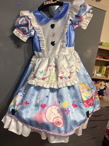 Wizard dorothy costume - of,