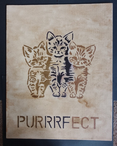 Kittens canvas 3 purrrfect - canvas.,