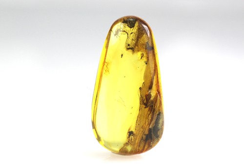 Natural baltic amber stone - amber,