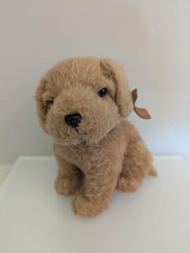 Anna club plush dog - dog, toy