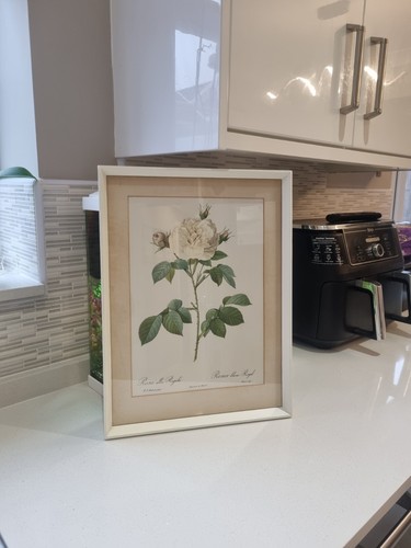 Redoute large framed - pj,