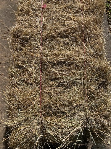 Fresh meadow hay bale - fresh,