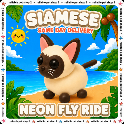 Nfr siamese cat adopt - nfr,