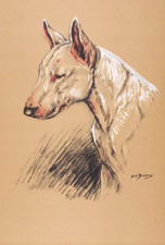 OLD VINTAGE PRINT DOG DOGS