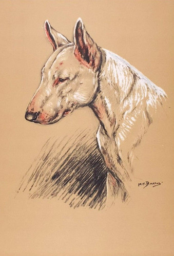 Old vintage print dog dogs - dog,