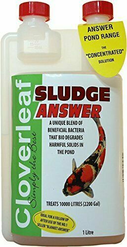 Cloverleaf sludge answer - cloverleaf,
