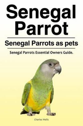 Senegal parrot - parrot.,