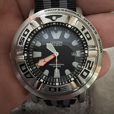 Citizen Ecozilla Professional