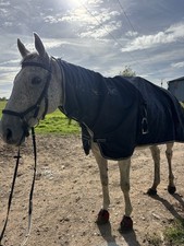 Horseware Newmarket Rain Sheet Waterproof Full Body & Tack Cover Show RideOn Rug