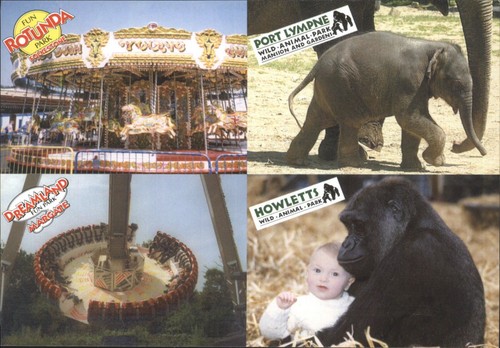 Vintage amusement park zoo - vintage,