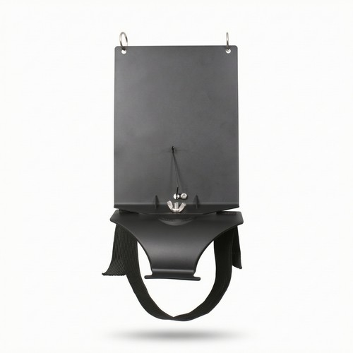 Flute lyre with - flute, strap