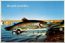Arizona Giant Fish with Boat