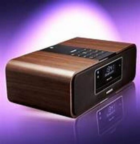 Roberts blutune 100 player - blutune,